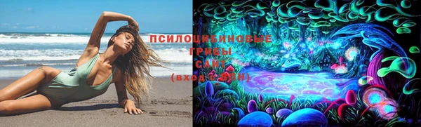 амф Алзамай