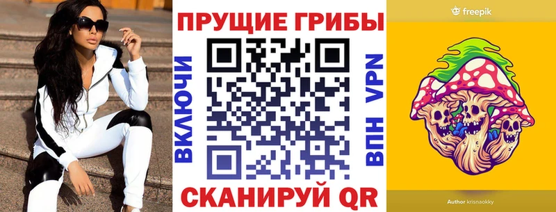 где купить наркотик  Жердевка  Галлюциногенные грибы ЛСД 